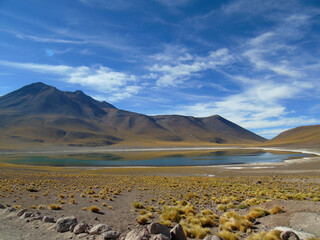 Atacama Desert, Chile. Altiplano, mountains, lake and wild nature.