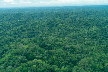 View of small amazon town from the air