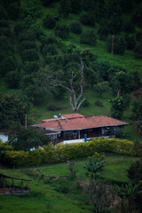 Fototapeta premium Landscape of a green coffee farm with a big house at harvest time