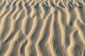 Shadows On the Sand dunes in Jericoacoara, Brazil