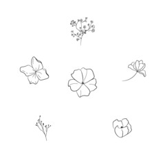 floral botanical flower and leaves line art asset vector arangeable part 3