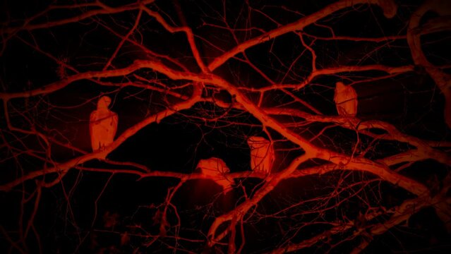 Four vultures perched in tree branches Halloween background red and black