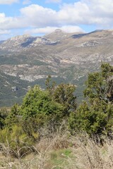 view from the mountain