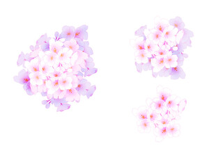 桜の花パーツ
