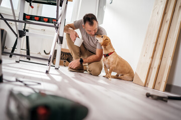 pets being an inspiration while fixing things at home