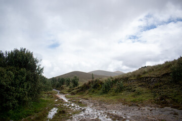 Pastizales Muyoc