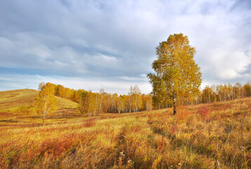Fototapeta premium Autumn in a hilly area