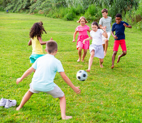 Obraz premium Boys and girls playing football on green grass together outdoors.