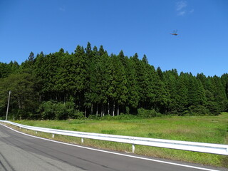 トンボが飛ぶ農村風景