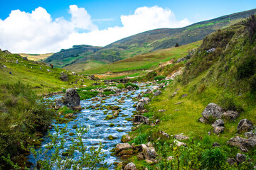 Rio muyoc