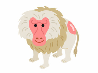 マントヒヒのイラスト