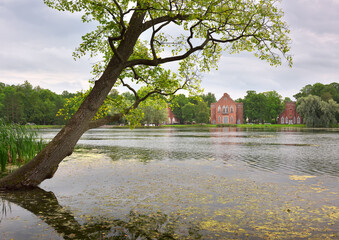 Bank of the Big pond of the Catherine Park in Pushkin