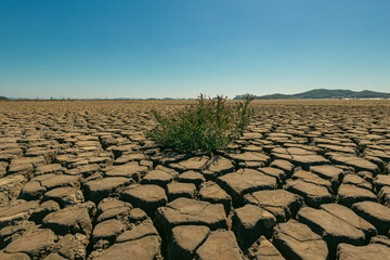 Fototapeta premium The land became dry due to drought