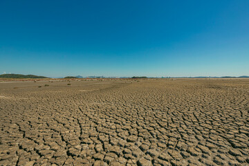 Fototapeta premium The land became dry due to drought