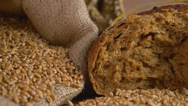 Dark rye type bread made from organic wheat flour. Wheat at grain elevator. Ripeness of vegetables grain. Agricultural activity on granary, mill or grain elevator. Bindle bag background