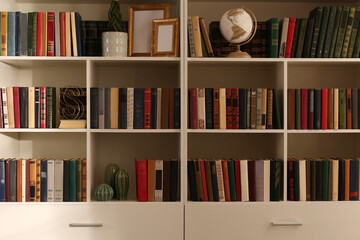 Collection of different books and decorative elements on shelves in home library