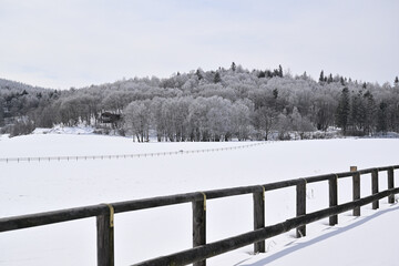 冬の蓼科高原の雪景色