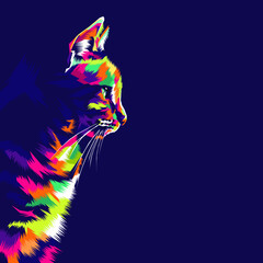 Colorful cat illustration