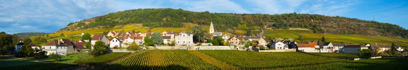 Fototapeta na wymiar Image of Saint-Aubin, Burgundy - french village with famous vineyards at sunny day