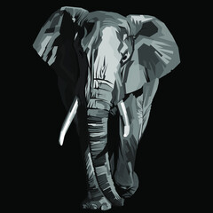 Black and white elephant vector