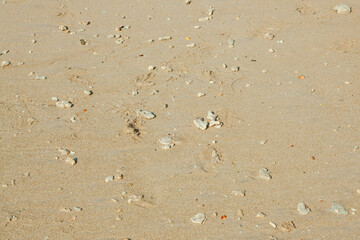 Sea and sand at Khao Lak,Thailand.