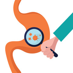 Digestive system, tract with bacteria, virus, microorganisms, 