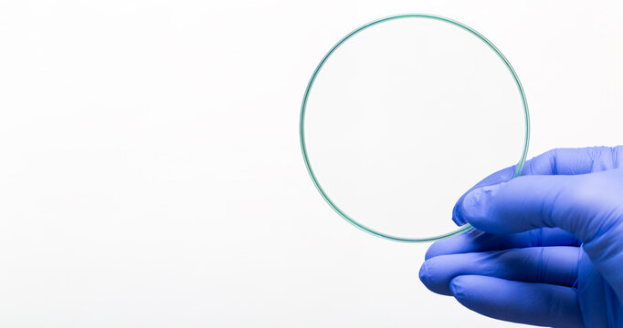 gloved hand holding petri dish.   banner with place for text on white background