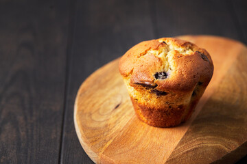 Muffin with chocolate and blueberries on a wooden stand on a dark background. Front view.