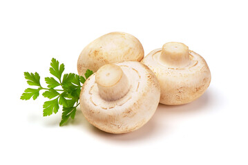 Champignons, close-up, isolated on white background.