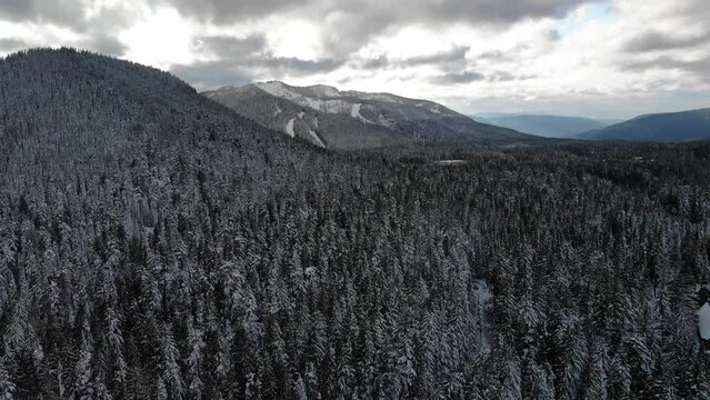 Aerial Drone Moving Forward Over Mountain Range, Mt Hood National Forest Oregon USA
