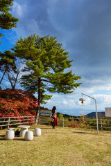 新潟県の佐渡島にある紅葉名所紅葉山展望台から対岸を望むひとり旅女性