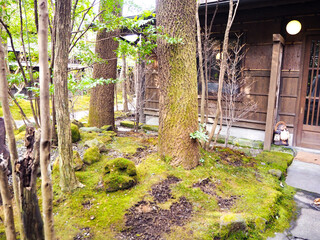 和の雰囲気を重んじる美しい日本庭園