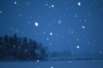 A beautiful, dark winter scenery while snowing. Bright white snowflakes. Snowy landscape of Northern Europe.