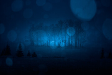 A dark winter scenery with white snow bokeh. Snowing in Northern Europe. Snowy landscape.