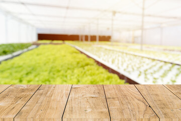 Hydroponics food plant farm blur with wooden table space for agriculture advertising montage...