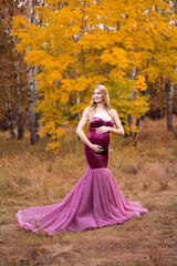 Fototapeta premium beautiful pregnant blonde woman with long hair in a purple long dress on the background of an autumn forest