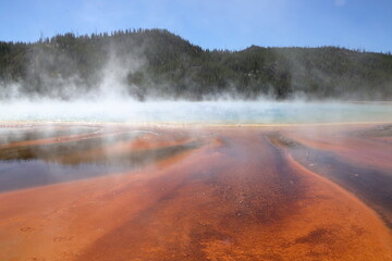 The red color around the Grand Prismatic spring is from bacteria that thrive in hot acidic...