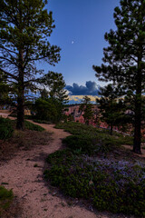 Fototapeta na wymiar Darkness envelopes the Hoodoos and orange granite of Bryce Canyon National Park. The stars appear, silhouettes of tree lined hills bring a hush over the Utah wilderness