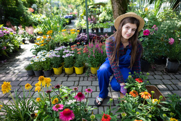 A worker sets pots of asters into a wicker basket. Garden Shop.