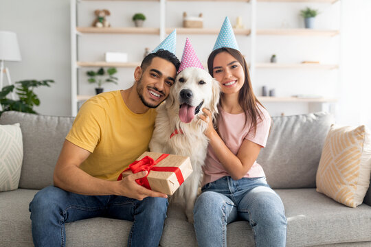 Happy diverse couple celebrating their pet dog's birthday, sitting on sofa with gift box, wearing festive hats at home - Powered by Adobe