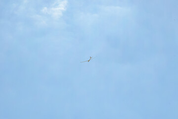 Obraz premium airplane in the sky