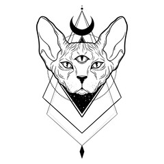 Cat sphinx three eyes vector hand drawn head. Sketch animal illuatration