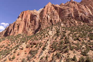 Zion National Park lies on the border of Arizona and Utah with a mix of high mountains of rock with green trees growing from the stone is scenic