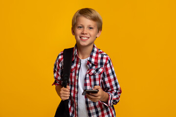 Happy calm caucasian teen boy pupil with backpack and smartphone ready to learn, chatting with friend © Prostock-studio