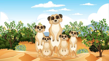 Meerkats in desert forest landscape © blueringmedia