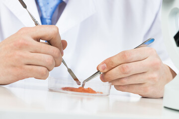 Microbiologist researching sample in petri dish.