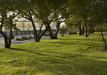 Green lawn on the waterfront