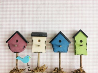 Tiny house for a little blue bird.