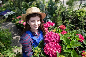 Foto op Canvas Portrait of a female worker in pink hydrangea flowers. Garden Shop. © fotodrobik