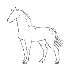 Horse vector doodle animal of Eastern astrological calendar black outline on white background.